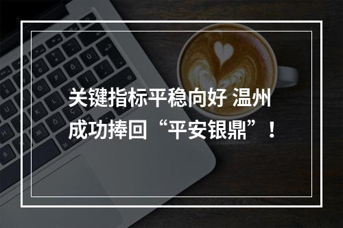关键指标平稳向好 温州成功捧回“平安银鼎”！
