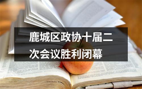 鹿城区政协十届二次会议胜利闭幕