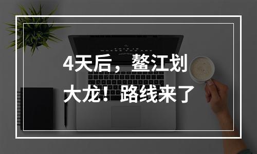 4天后，鳌江划大龙！路线来了