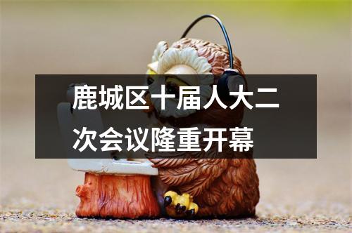 鹿城区十届人大二次会议隆重开幕