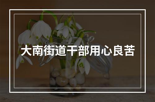 大南街道干部用心良苦