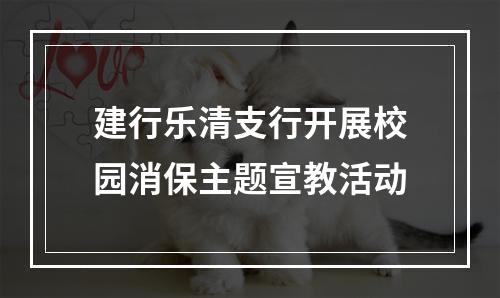 建行乐清支行开展校园消保主题宣教活动