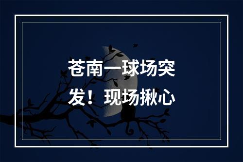 苍南一球场突发！现场揪心