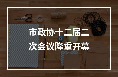 市政协十二届二次会议隆重开幕