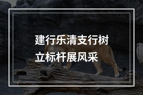 建行乐清支行树立标杆展风采