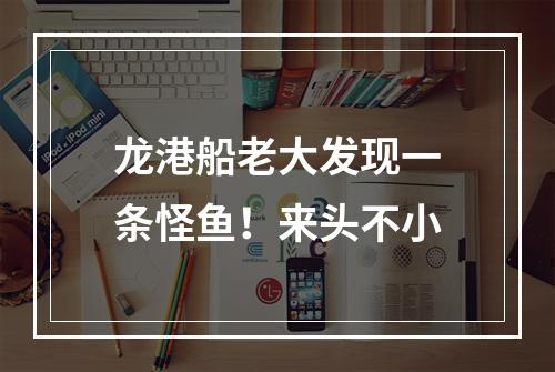 龙港船老大发现一条怪鱼！来头不小