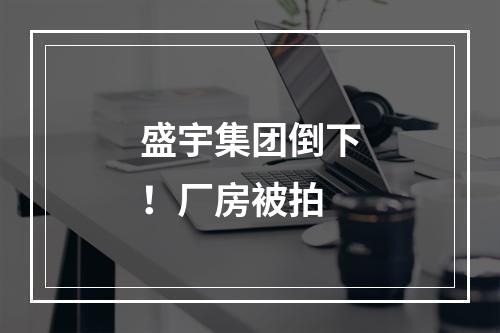 盛宇集团倒下！厂房被拍