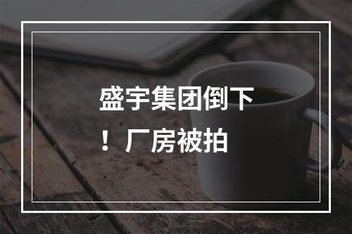 盛宇集团倒下！厂房被拍