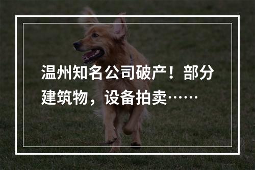 温州知名公司破产！部分建筑物，设备拍卖……