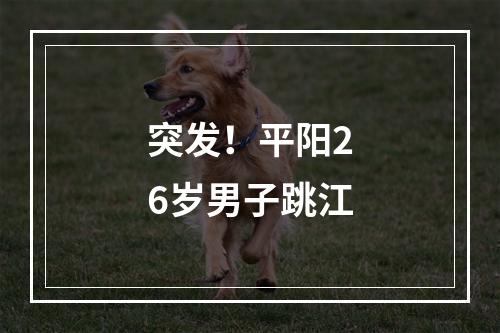 突发！平阳26岁男子跳江