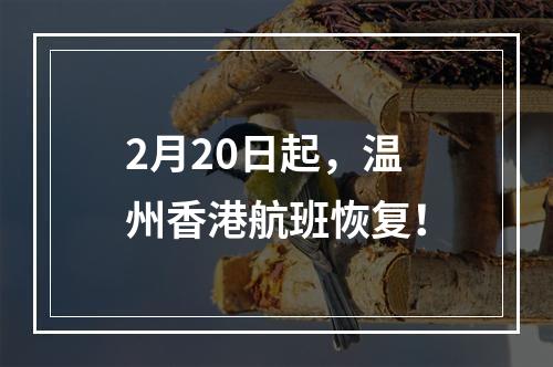 2月20日起，温州香港航班恢复！