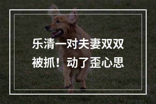 乐清一对夫妻双双被抓！动了歪心思