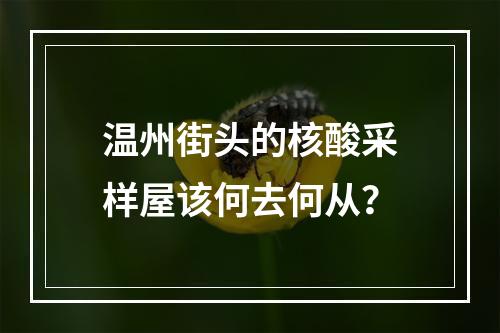 温州街头的核酸采样屋该何去何从？