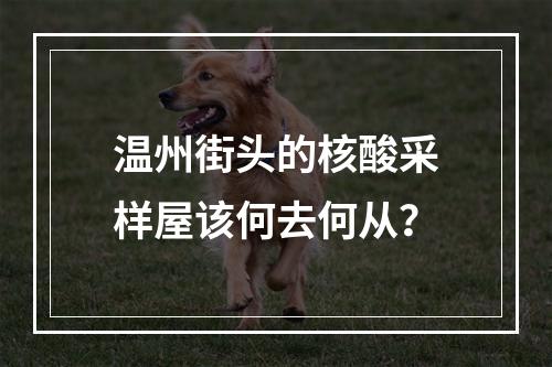 温州街头的核酸采样屋该何去何从？