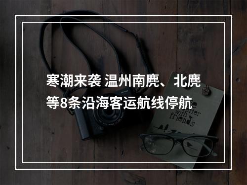 寒潮来袭 温州南麂、北麂等8条沿海客运航线停航