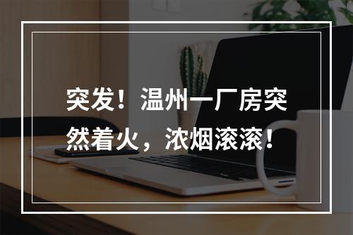 突发！温州一厂房突然着火，浓烟滚滚！