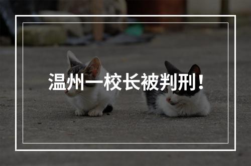 温州一校长被判刑！