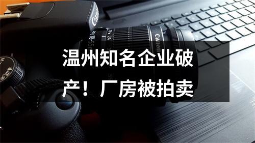温州知名企业破产！厂房被拍卖