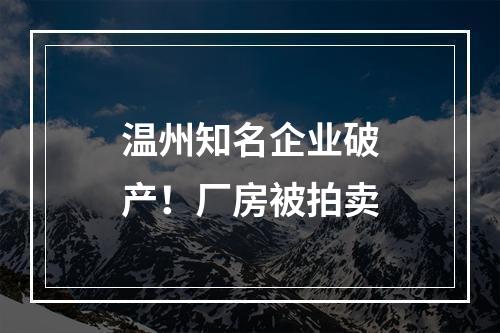 温州知名企业破产！厂房被拍卖