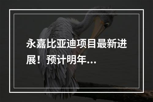 永嘉比亚迪项目最新进展！预计明年...