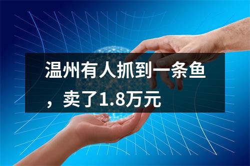 温州有人抓到一条鱼，卖了1.8万元