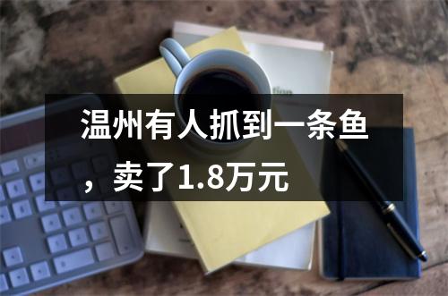温州有人抓到一条鱼，卖了1.8万元