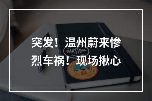 突发！温州蔚来惨烈车祸！现场揪心