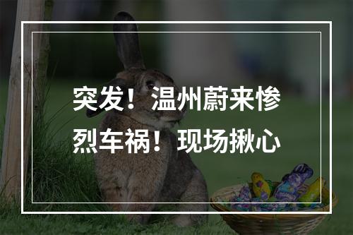 突发！温州蔚来惨烈车祸！现场揪心