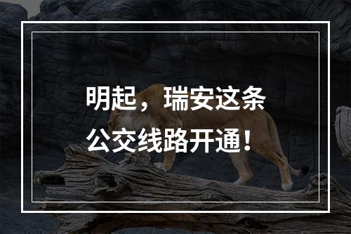 明起，瑞安这条公交线路开通！