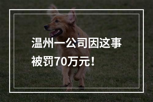 温州一公司因这事被罚70万元！