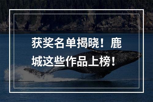 获奖名单揭晓！鹿城这些作品上榜！