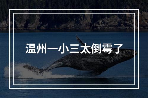 温州一小三太倒霉了