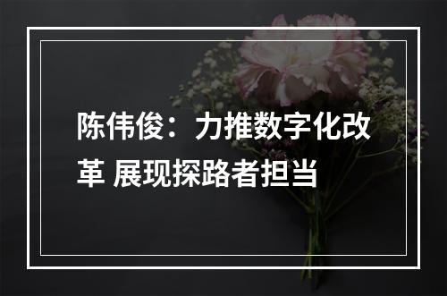 陈伟俊：力推数字化改革 展现探路者担当