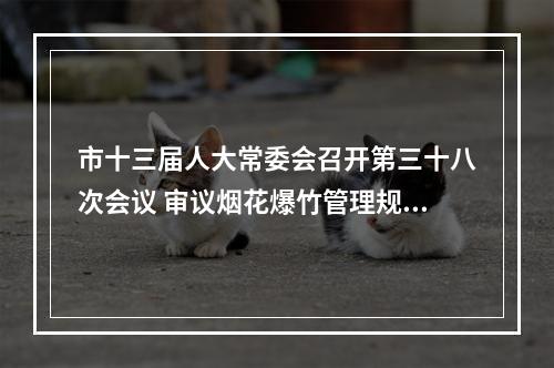 市十三届人大常委会召开第三十八次会议 审议烟花爆竹管理规定草案