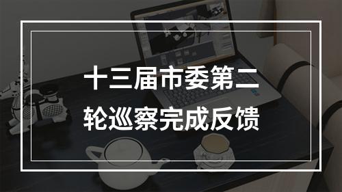 十三届市委第二轮巡察完成反馈