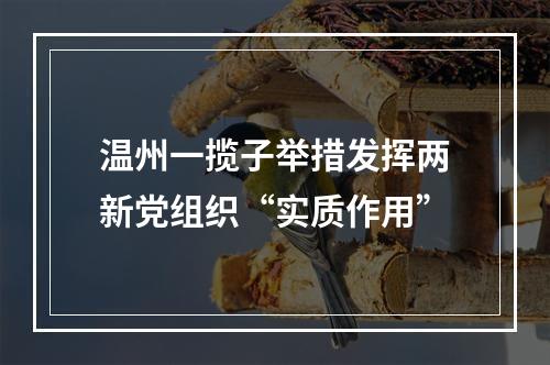 温州一揽子举措发挥两新党组织“实质作用”