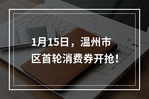 1月15日，温州市区首轮消费券开抢！