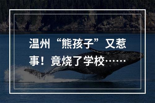 温州“熊孩子”又惹事！竟烧了学校……