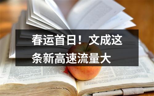 春运首日！文成这条新高速流量大