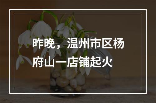 昨晚，温州市区杨府山一店铺起火