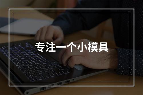 专注一个小模具
