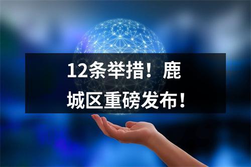 12条举措！鹿城区重磅发布！