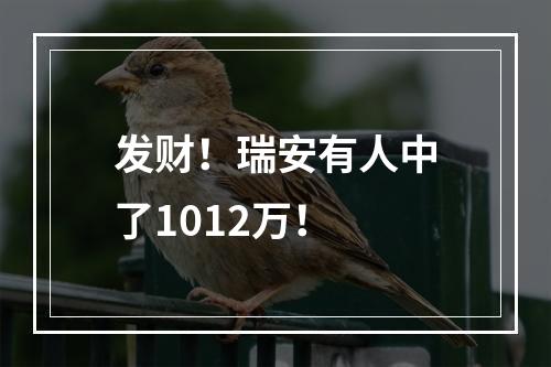 发财！瑞安有人中了1012万！