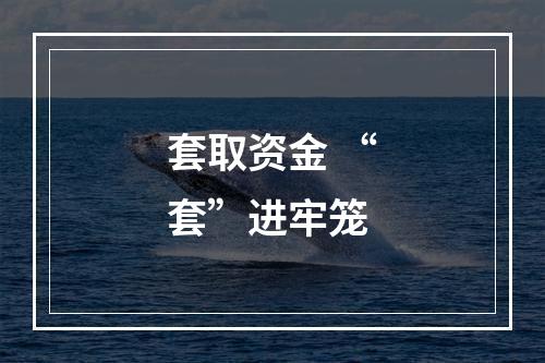 套取资金 “套”进牢笼