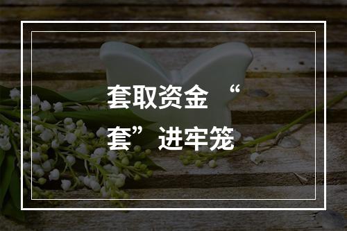 套取资金 “套”进牢笼