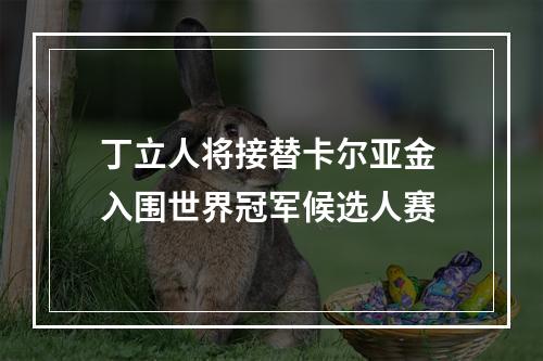 丁立人将接替卡尔亚金 入围世界冠军候选人赛