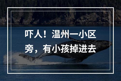 吓人！温州一小区旁，有小孩掉进去