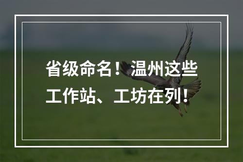 省级命名！温州这些工作站、工坊在列！