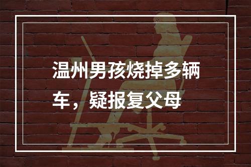 温州男孩烧掉多辆车，疑报复父母