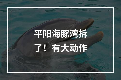 平阳海豚湾拆了！有大动作